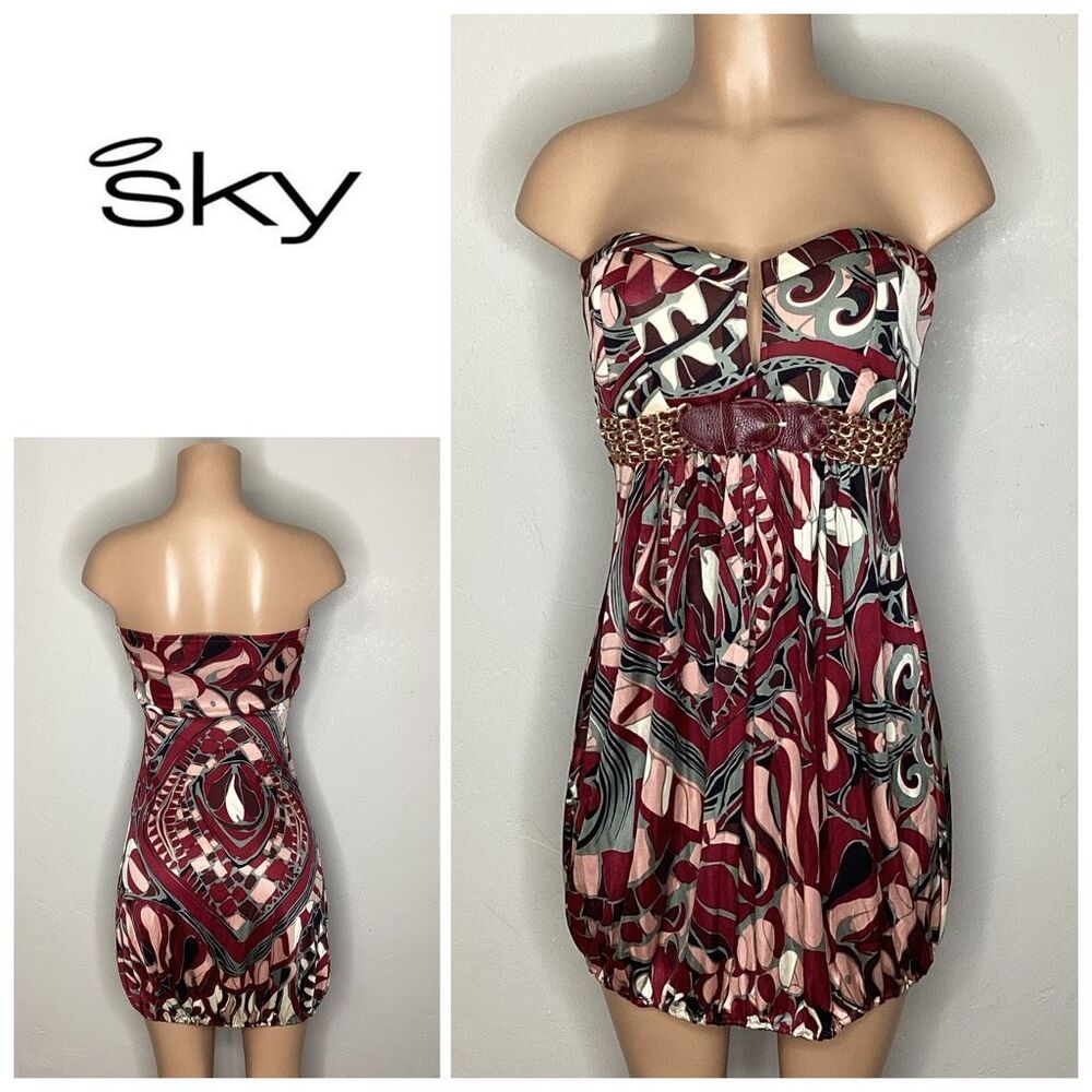 New. SKY silk dress. Large. Retails $174